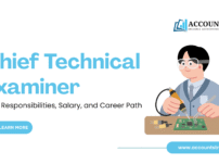 Chief Technical Examiner: Role, Responsibilities, Salary, and Career Path